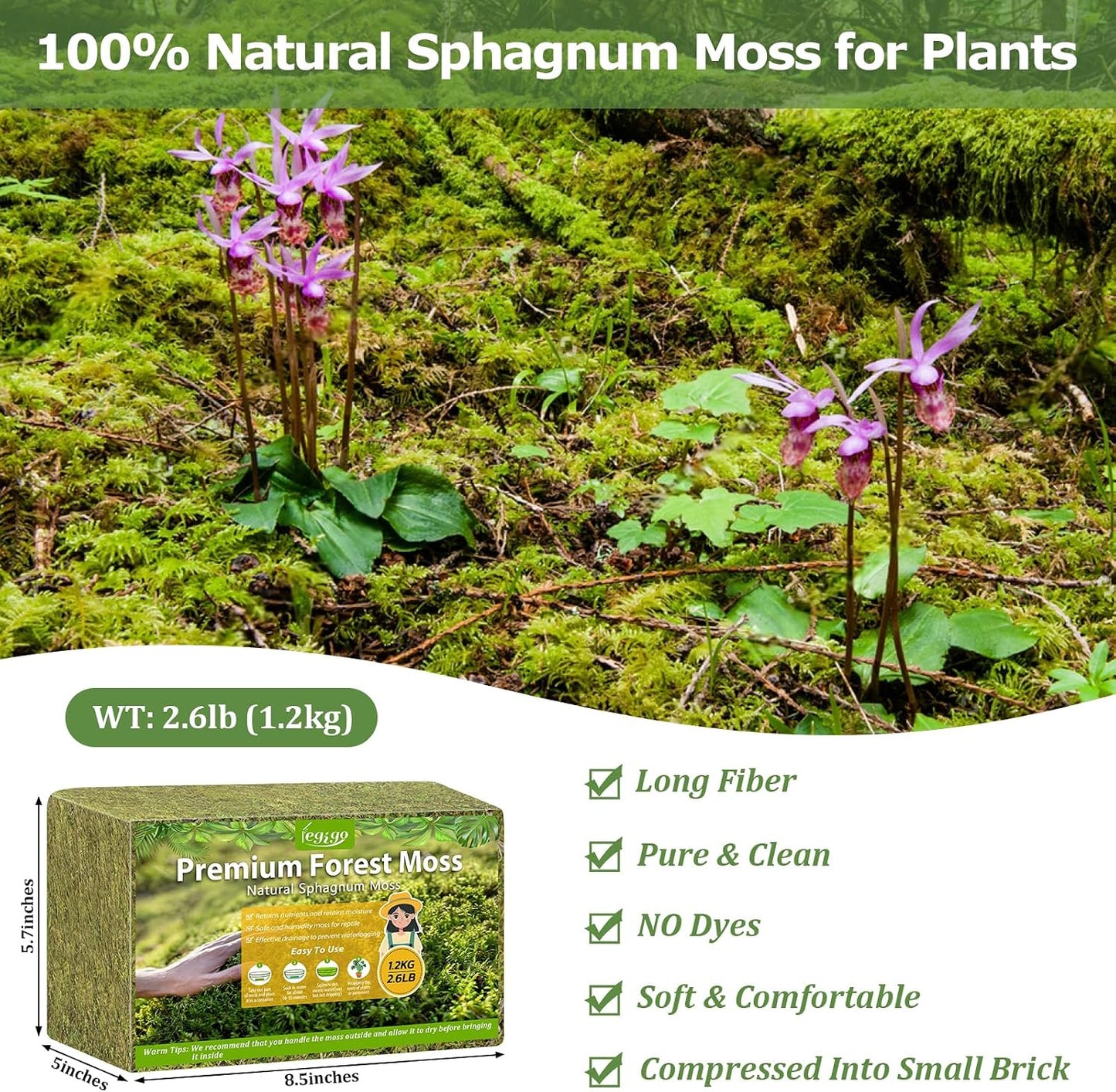 Musgo Sphagnum Verde Natural 2.6lb para Plantas en Maceta