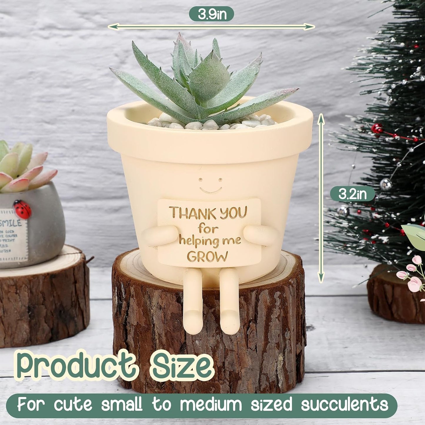 Maceta 9.9cm con drenaje para suculentas regalo agradecimiento