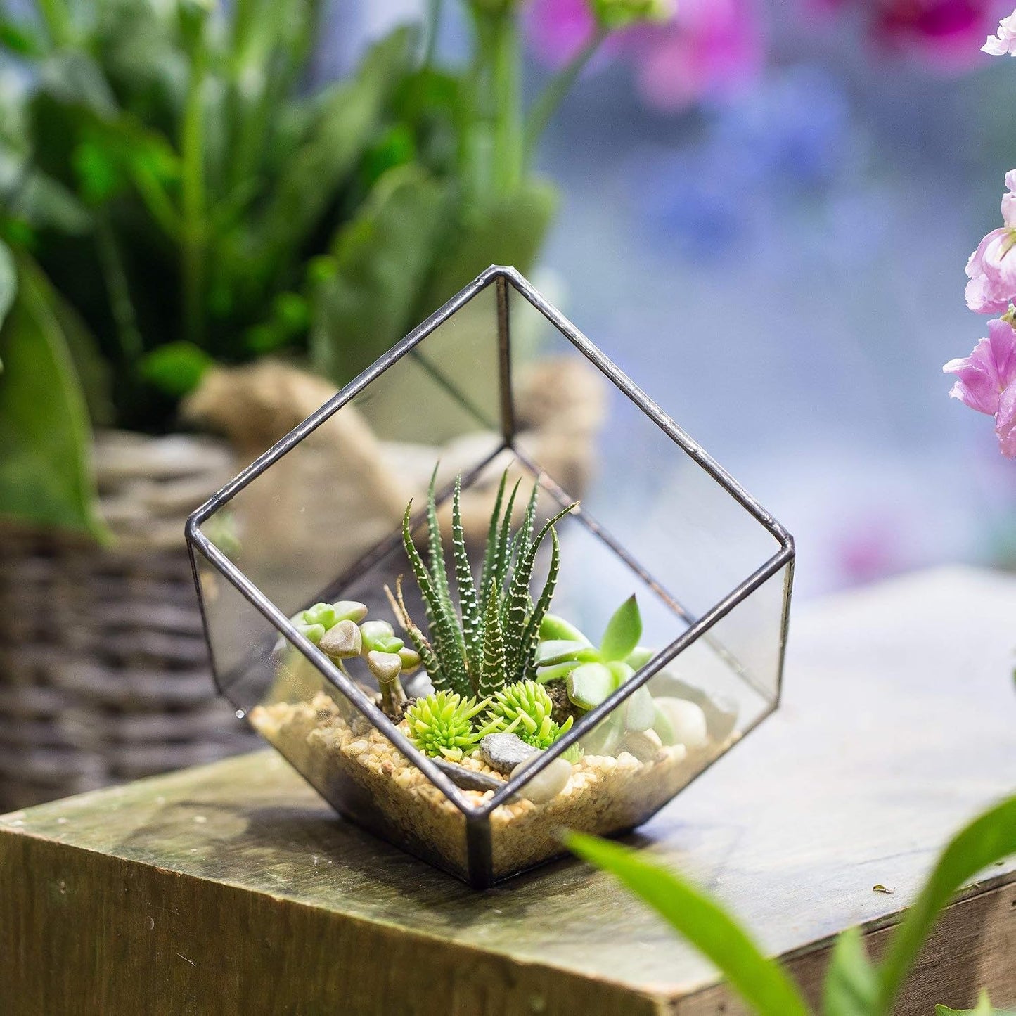 Terrario geométrico pequeño de vidrio transparente