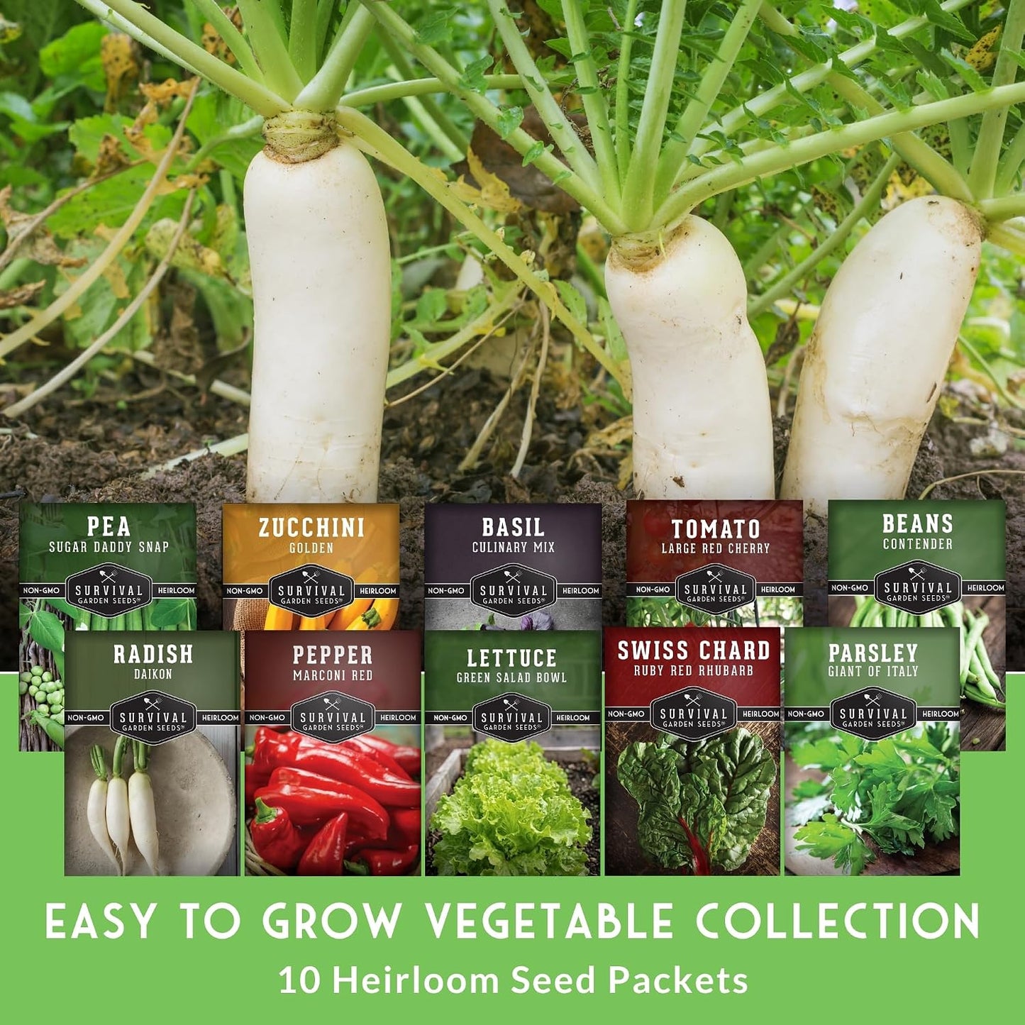 Colección semillas verduras hierbas 10 paquetes