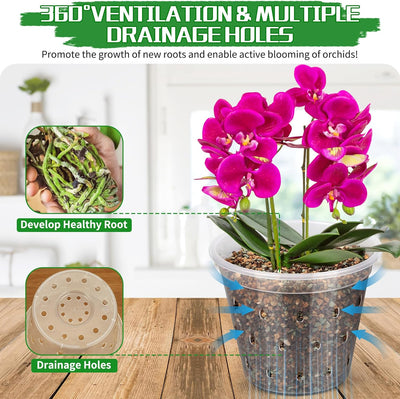 Macetas plástico 5pulg trasplante orquídeas 8pzas transparentes