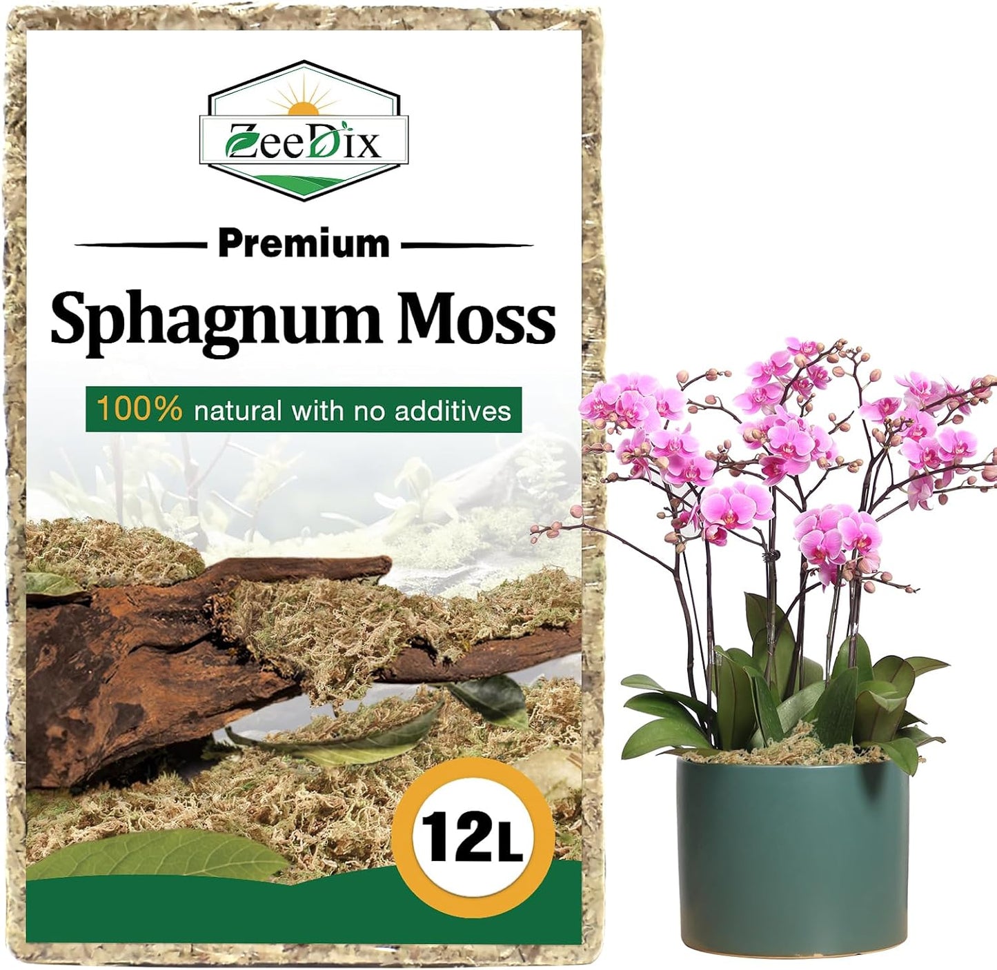 Musgo esfagnum 12L para orquídeas, suculentas y terrarios