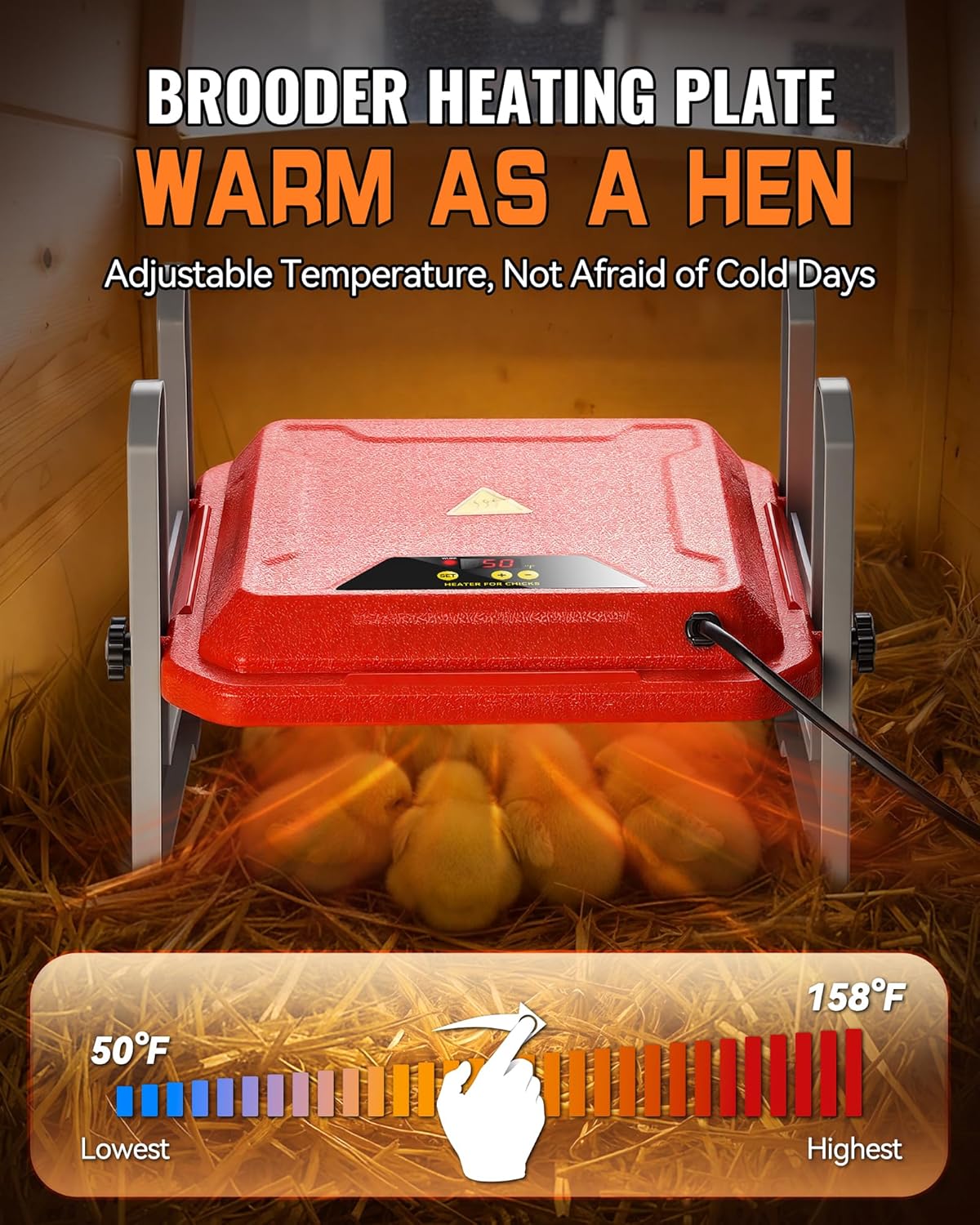 Plato criador pollos inteligente con pantalla LCD y calentador de 50 W
