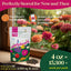Paquete 4oz semillas zinnia sin OMG para jardín