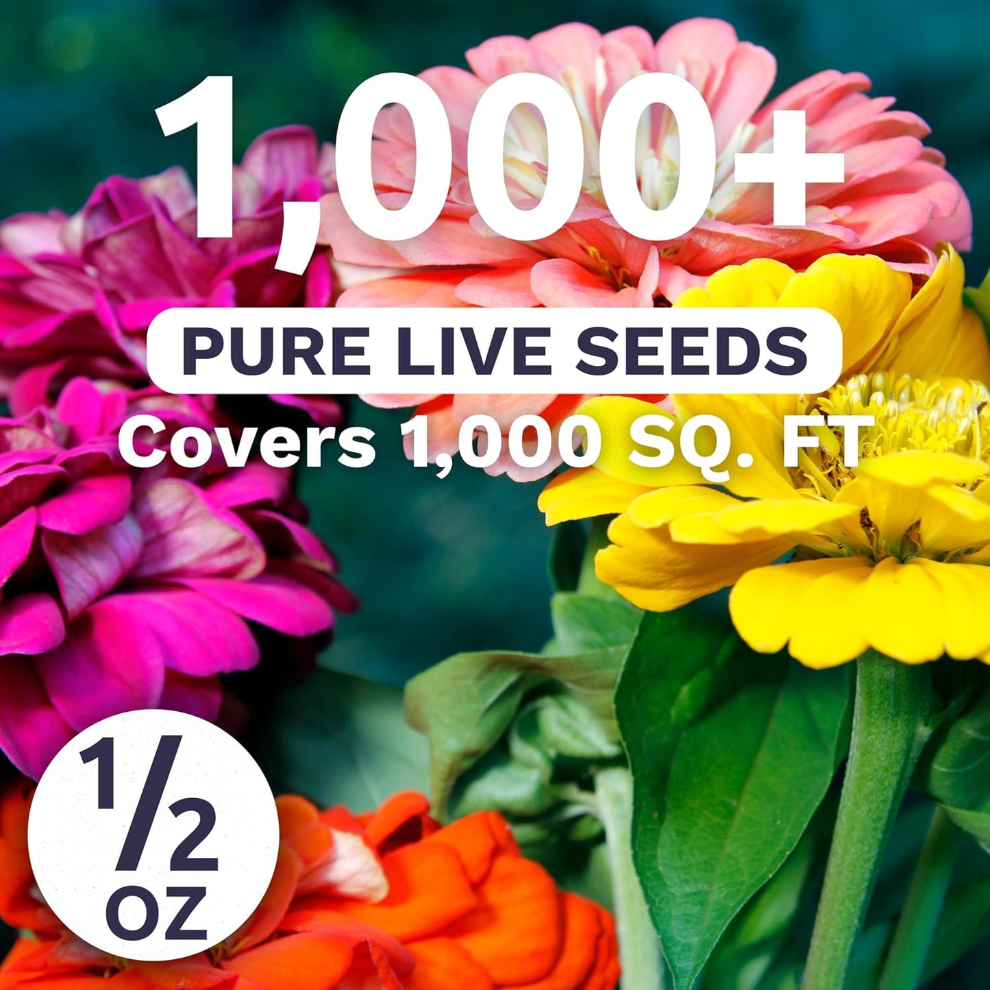 Paquete 1000 semillas flores 1/2 oz
