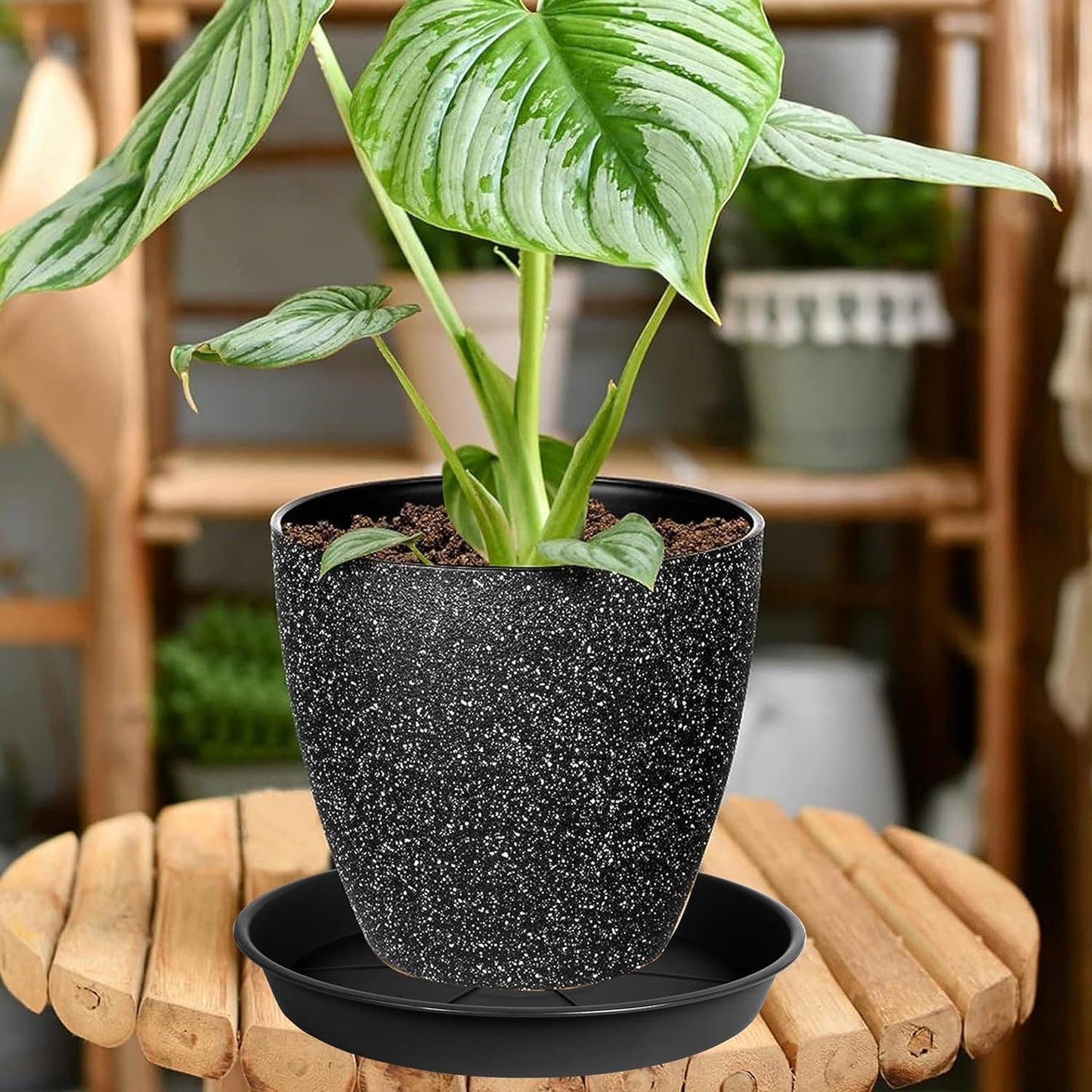 Bandeja platillo 10pulg plástico resistente para plantas negro