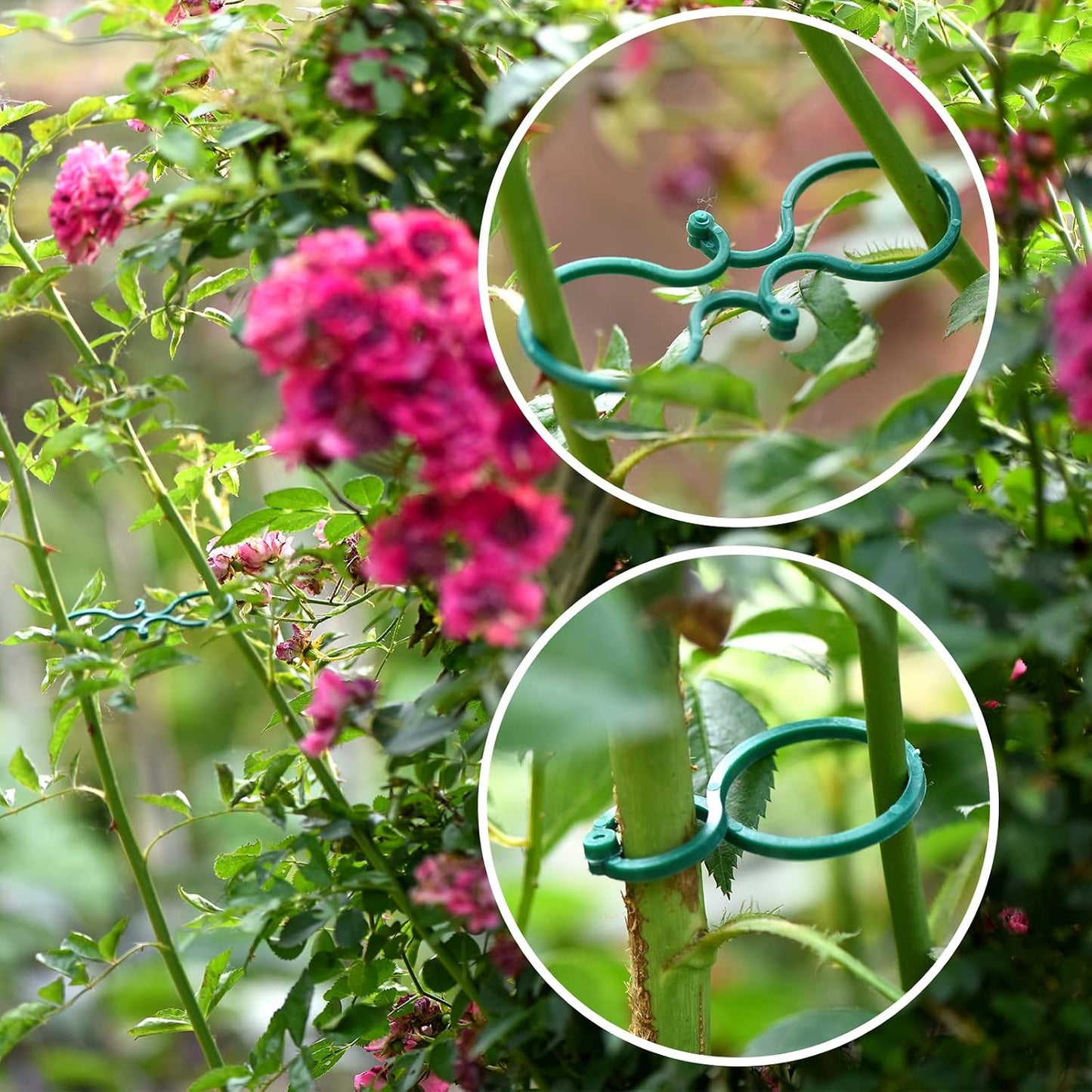 Lazos jardín TPR verde con 20 clips para plantas