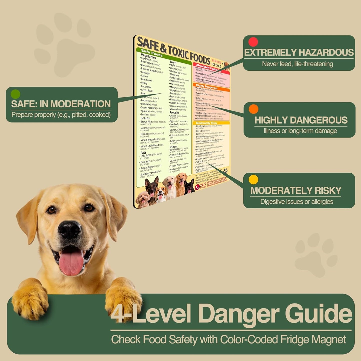 Tabla alimentos perros imán nevera 8.5x11pulg resistente