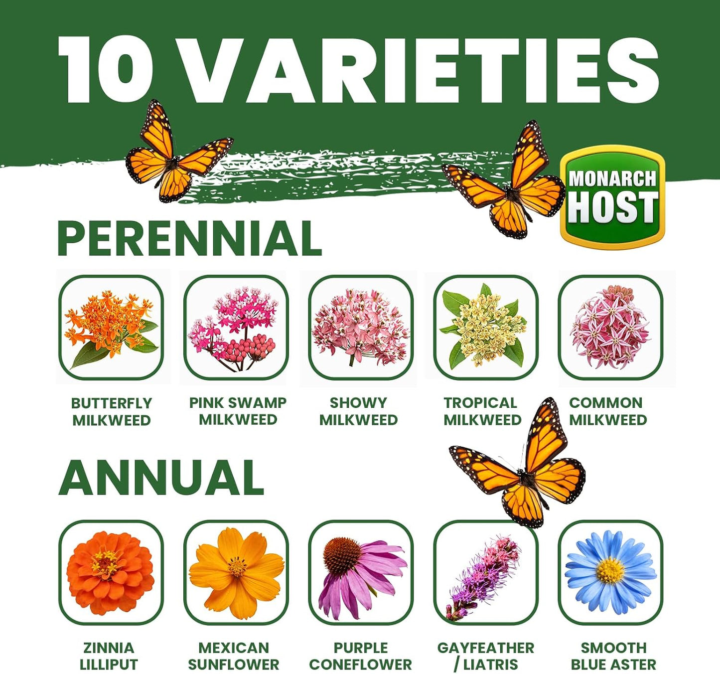 Semillas algodoncillo para mariposas monarca 1.76oz