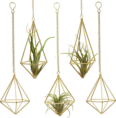 Soporte colgante Tillandsia metal dorado decoración casa 5uds