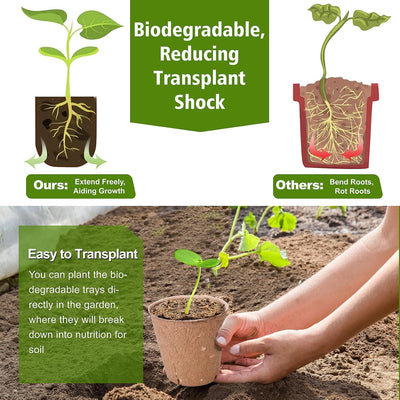 Macetas Turba Redondas Biodegradables 3.15pulg con Etiquetas
