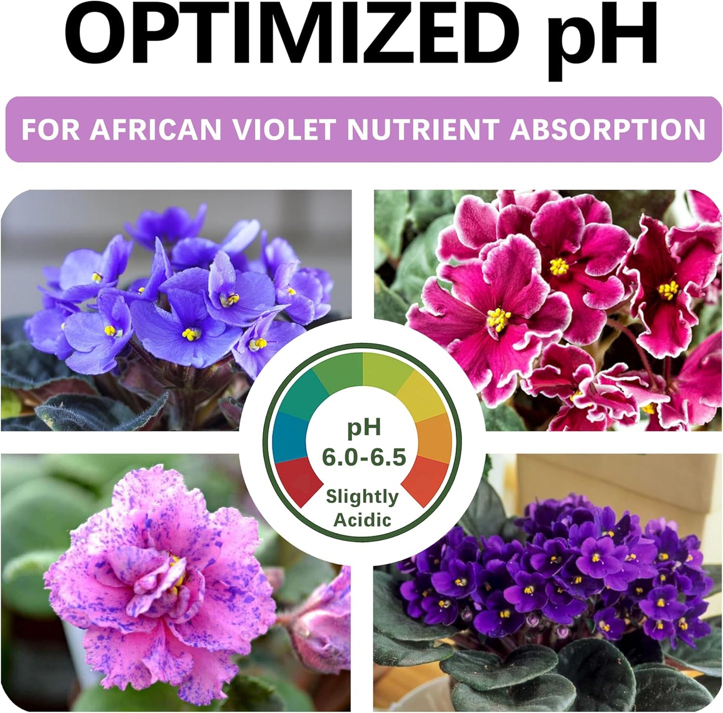 Suelo violeta africano orgánico para Saintpaulia con drenaje rápido