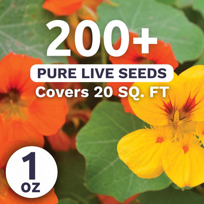 Paquete 200 semillas Nasturtium Jewel Mix Tropaeolum majus