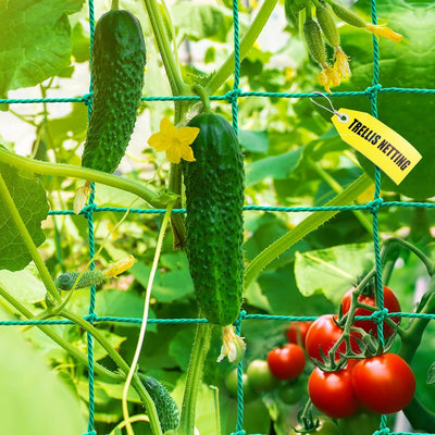 Red enrejado jardín 26.3x6.6pulg para pepino tomate 4x4pulg