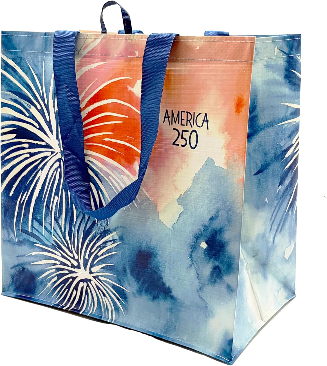 Bolsas medianas Earthwise Semiquincentenario 5 unidades