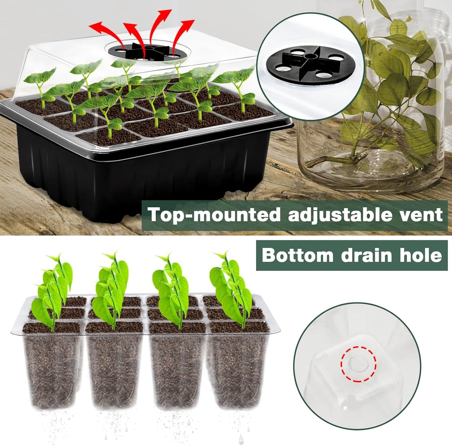 Kit 6 bandejas germinación hierbas con 90 pellets coco