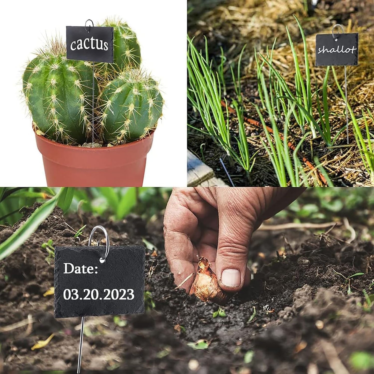 20 Ganchos Plateados para Etiquetas de Jardín Estaca
