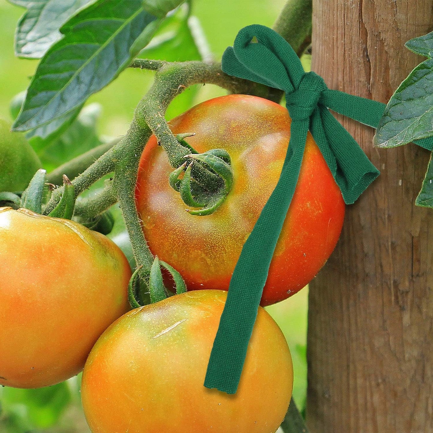 Cordel jardín verde 98ft lazo suave para plantas