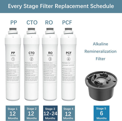 Set filtros repuesto para sistema Bluevua RO100ROPOT