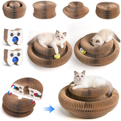 2 Rascadores mágicos para gatos con pista de bolas