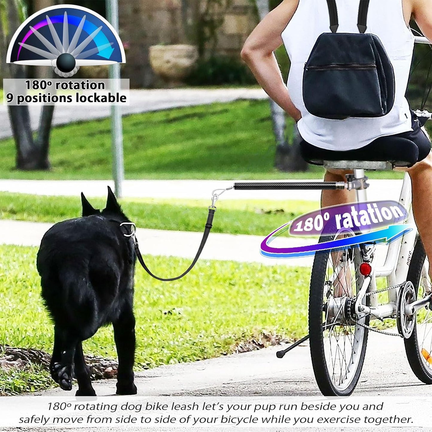 Correa bicicleta perro sistema giratorio 180° cuerda acero
