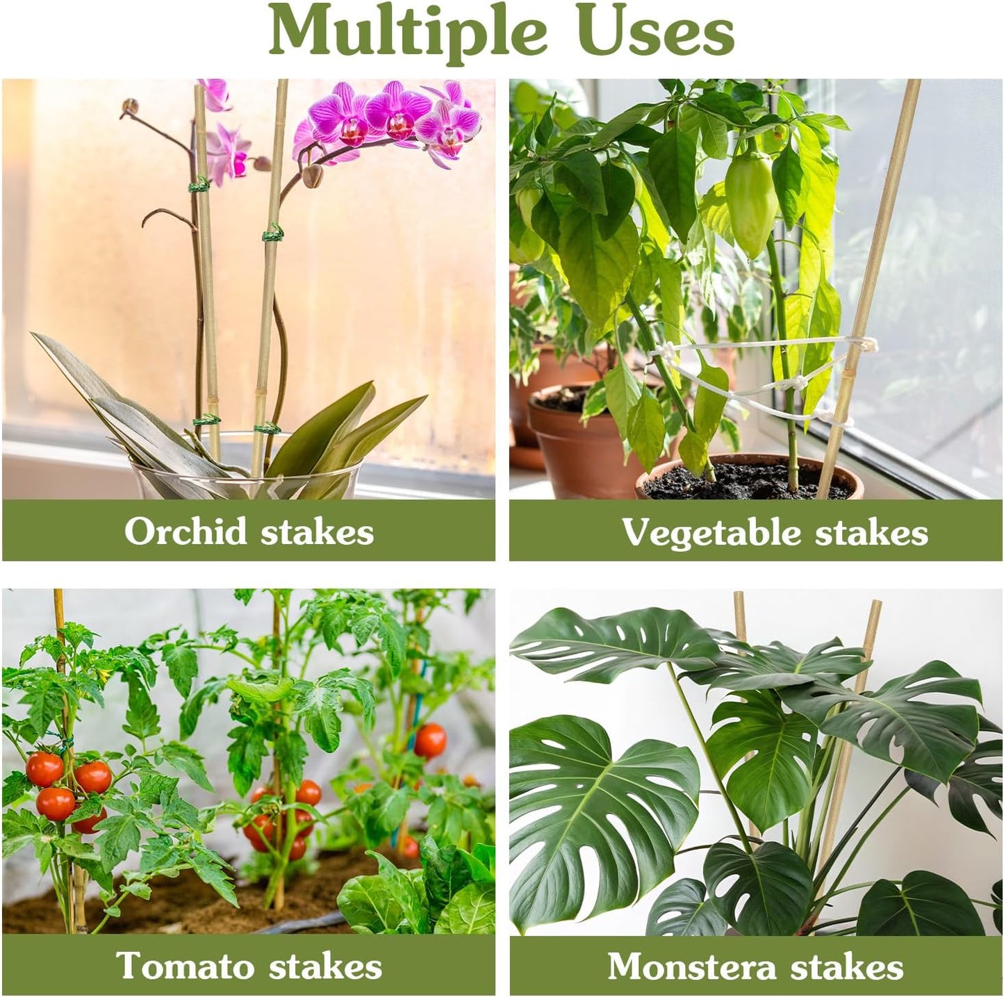 Estacas bambú 16pulg 20pzas para jardín orquídeas tomates