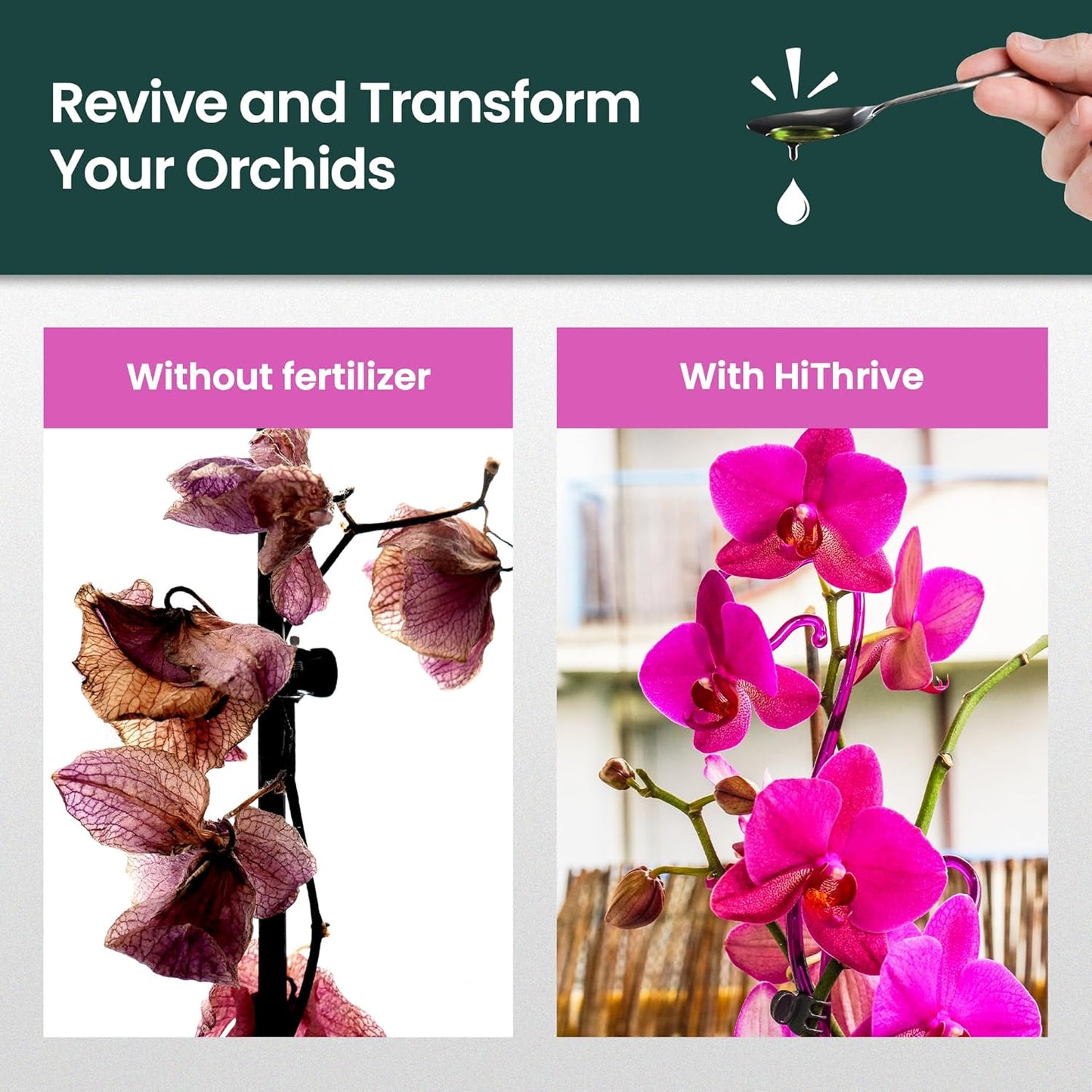 Fertilizante orquídeas 32oz interior exterior con micronutrientes