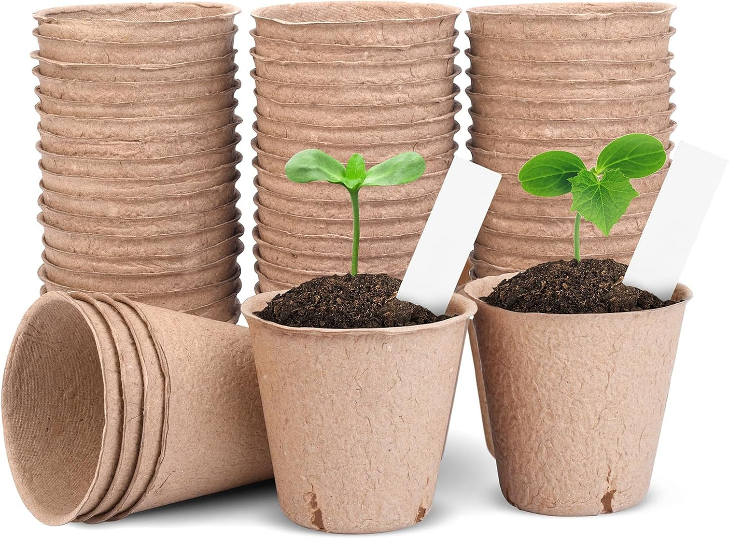 Macetas Turba Redondas Biodegradables 3.15pulg con Etiquetas