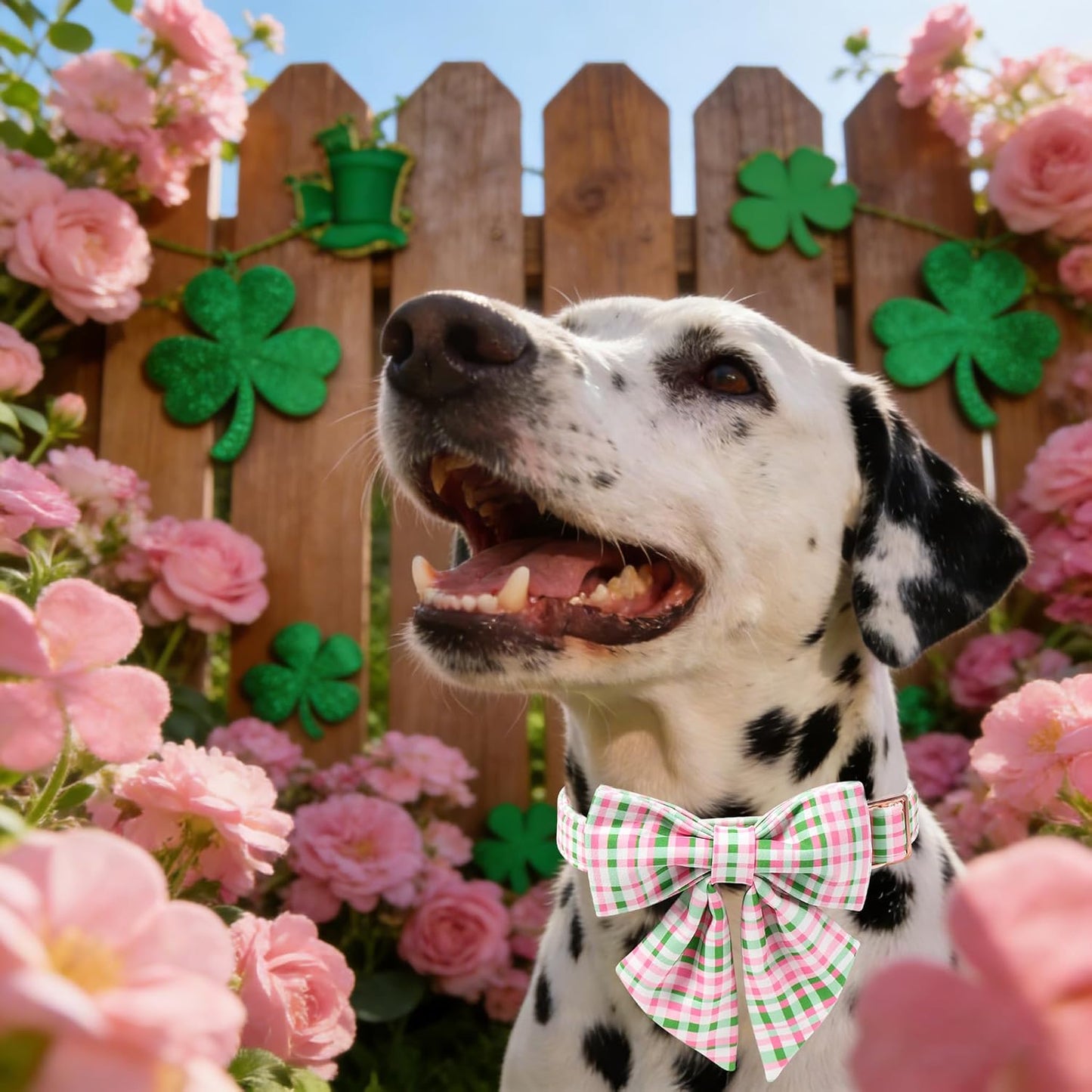 Collar perro cuadros rosa cereza verde corbatín marinero ajustable