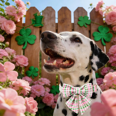 Collar perro cuadros rosa cereza verde corbatín marinero ajustable