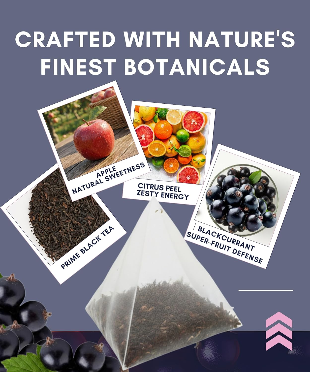 Té de hoja entera Blackcurrant Fruit Black Tea 12 bolsitas pirámide