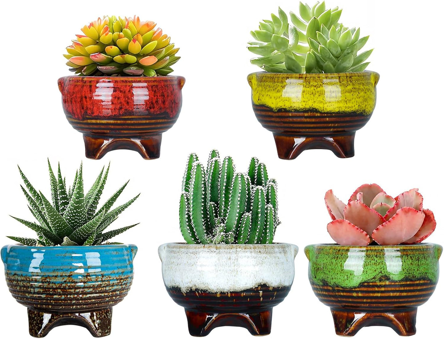 Macetas cerámica 4pulg drenaje set 5 para suculentas y cactus