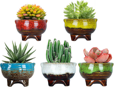 Macetas cerámica 4pulg drenaje set 5 para suculentas y cactus