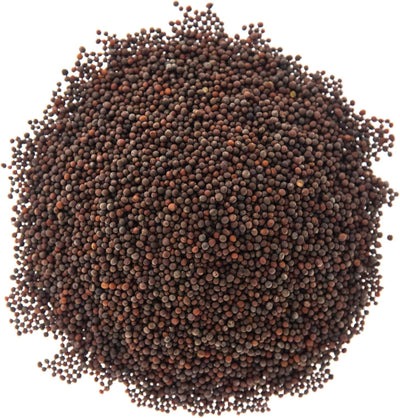 Semillas Microgreen Sulforaphane para cultivo en bandejas