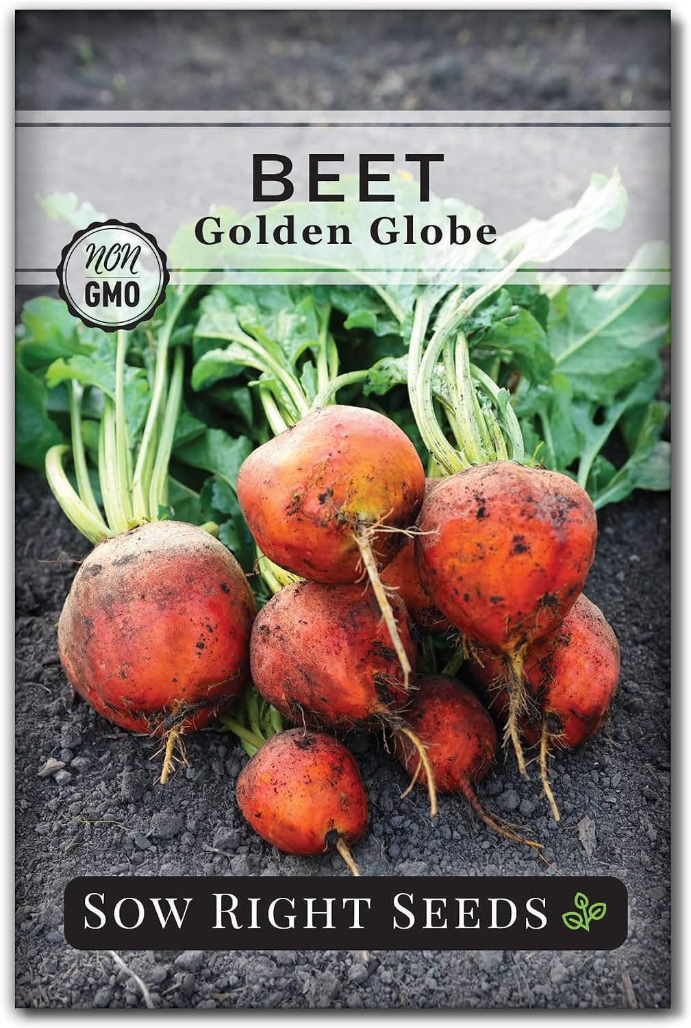 Semillas remolacha Golden Globe para plantar en huerto
