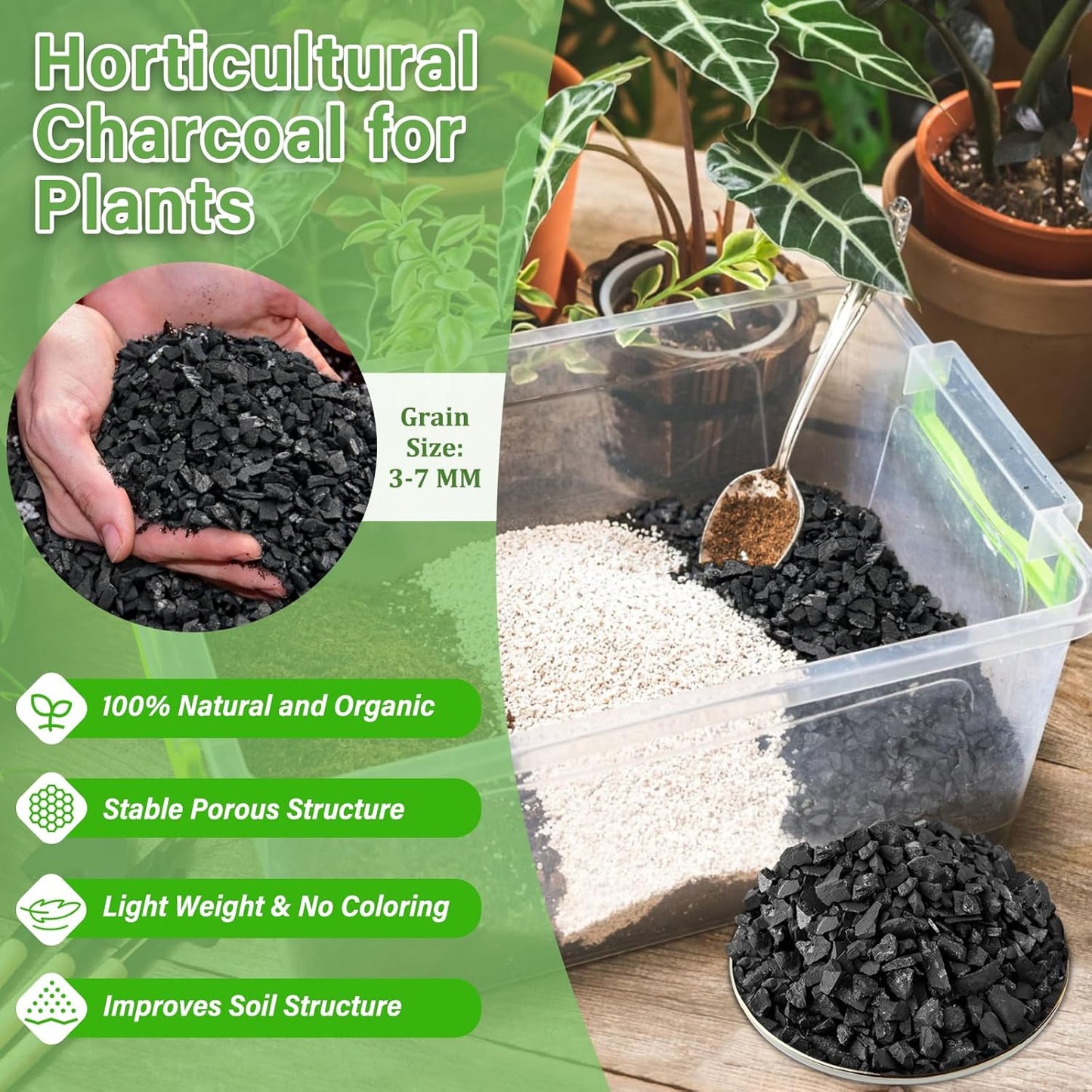 2qt Carbón Hortícola Natural para Plantas Terrarios Macetas
