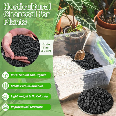 2qt Carbón Hortícola Natural para Plantas Terrarios Macetas