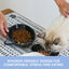 Cuencos cerámica gatos para comida y agua