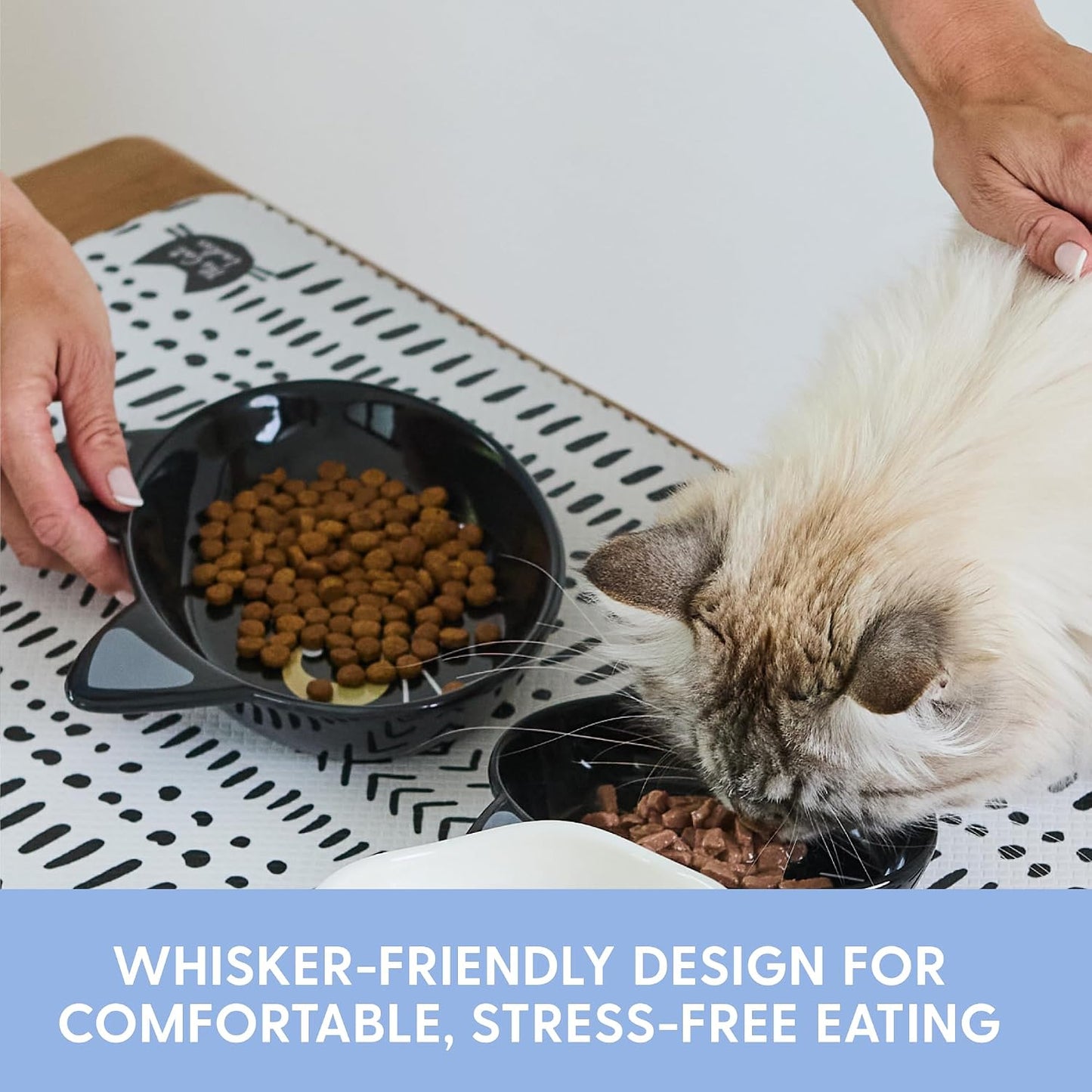 Cuencos cerámica gatos para comida y agua
