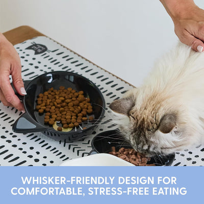 Cuencos cerámica gatos para comida y agua