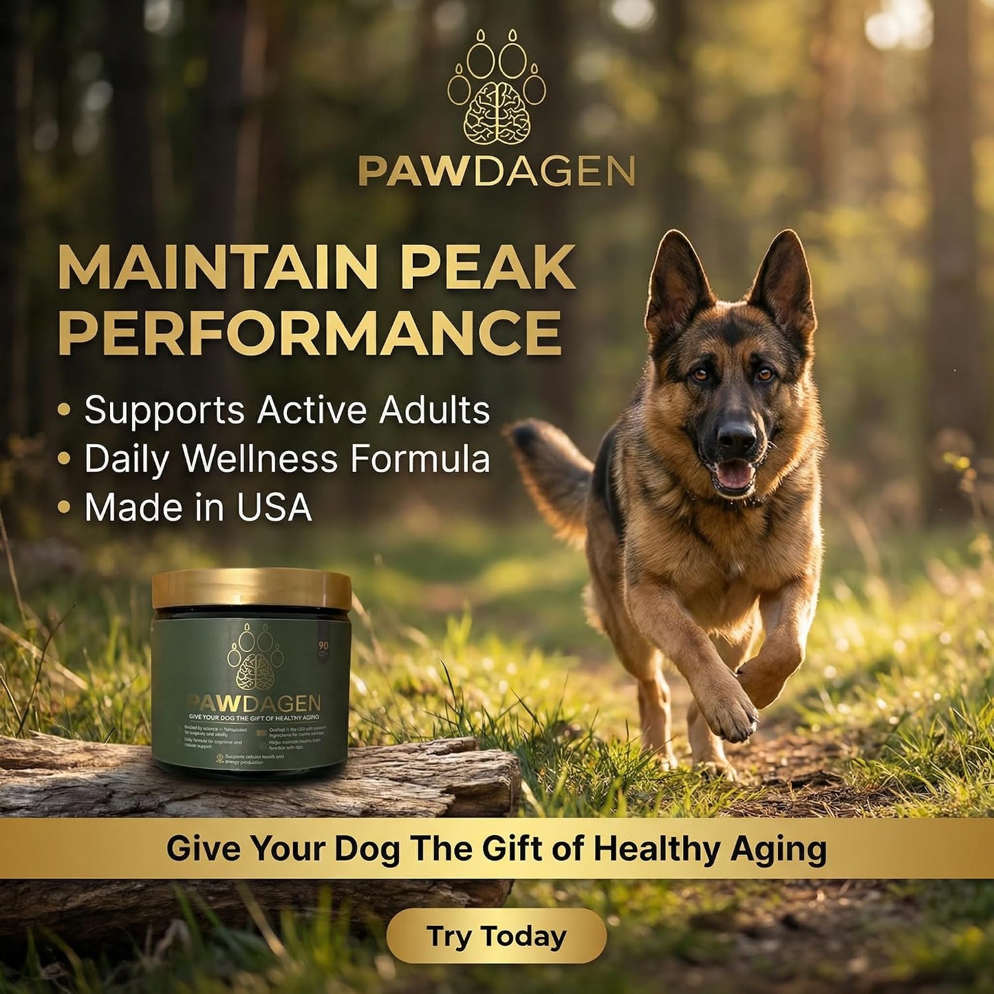 Suplemento longevidad perros NMN CoQ10 14 ingredientes