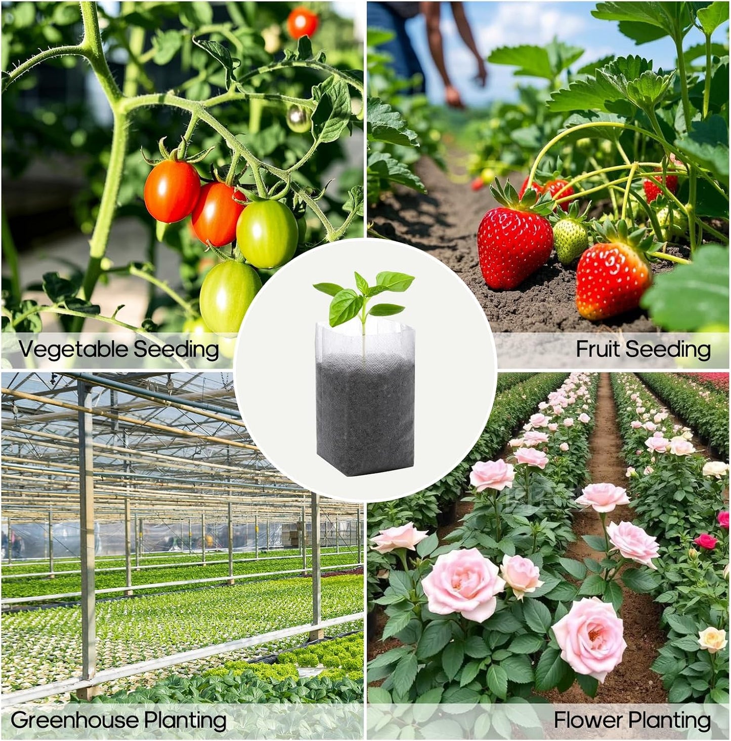 200 Bolsas Cultivo 5.5x6.3pulg Biodegradables Jardín