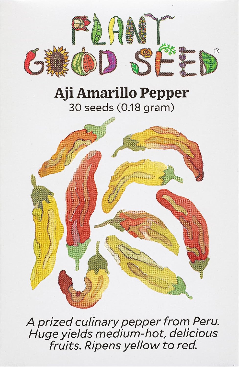 Semillas Aji Amarillo orgánicas para plantar chile peruano 30 pzas