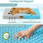 Cama ortopédica impermeable para perro jaula 36x27x3