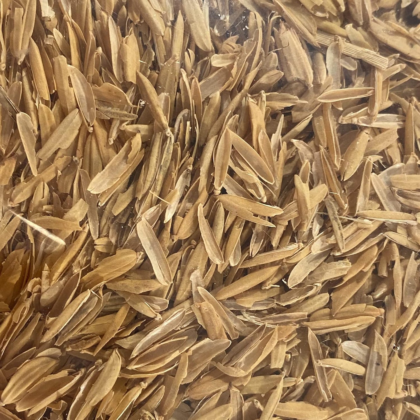 Cascos de arroz orgánico 1gal