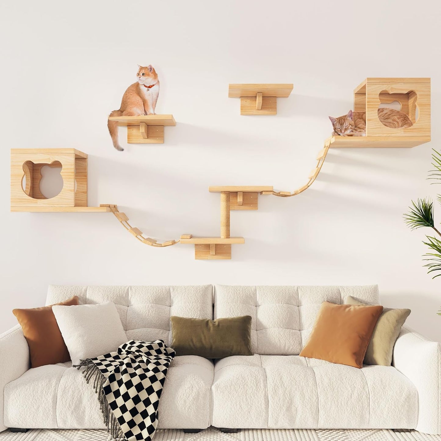 Estantes y perchas para gatos de madera pino escalada