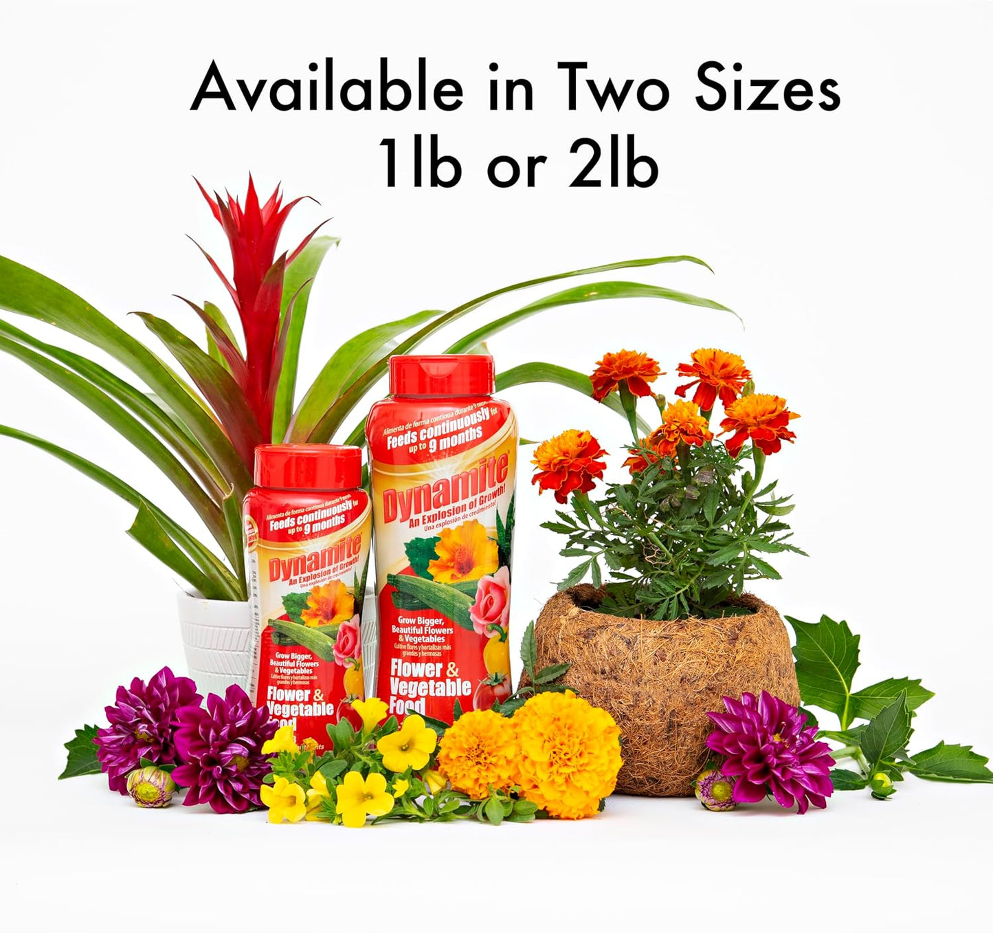 Alimento completo para flores y verduras 1lb