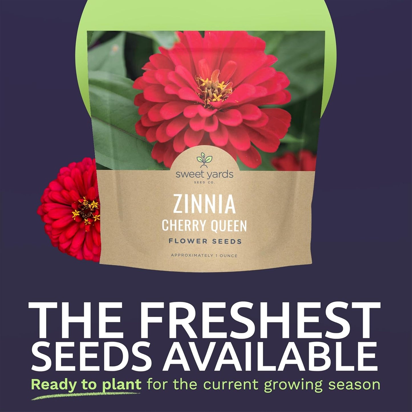 Paquete 4000 semillas Zinnia Cherry Queen