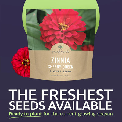 Paquete 4000 semillas Zinnia Cherry Queen