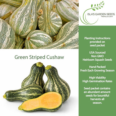 Semillas calabaza Cushaw a rayas verdes 25 unidades sin OMG